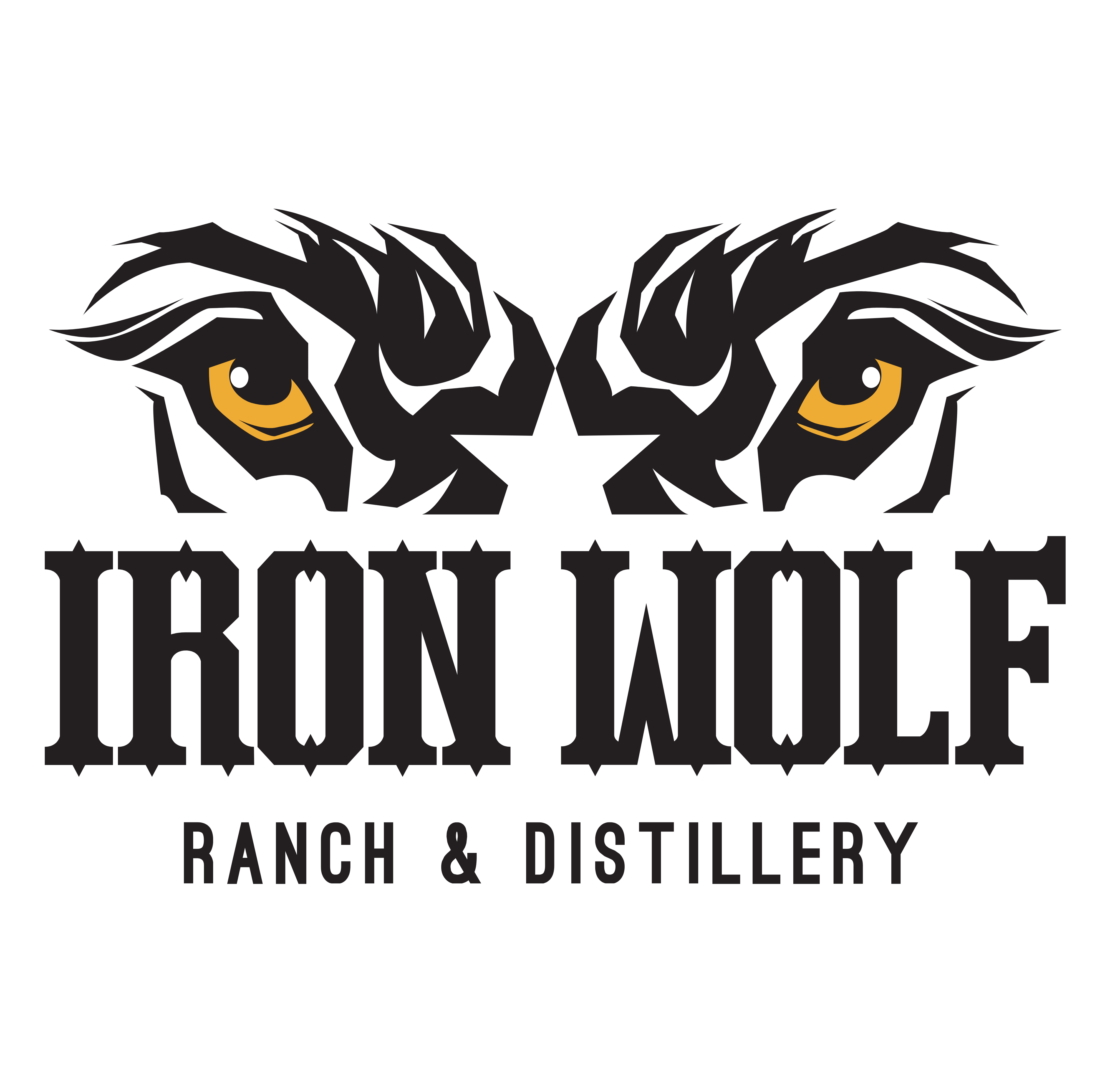 Full branded colors standard logo